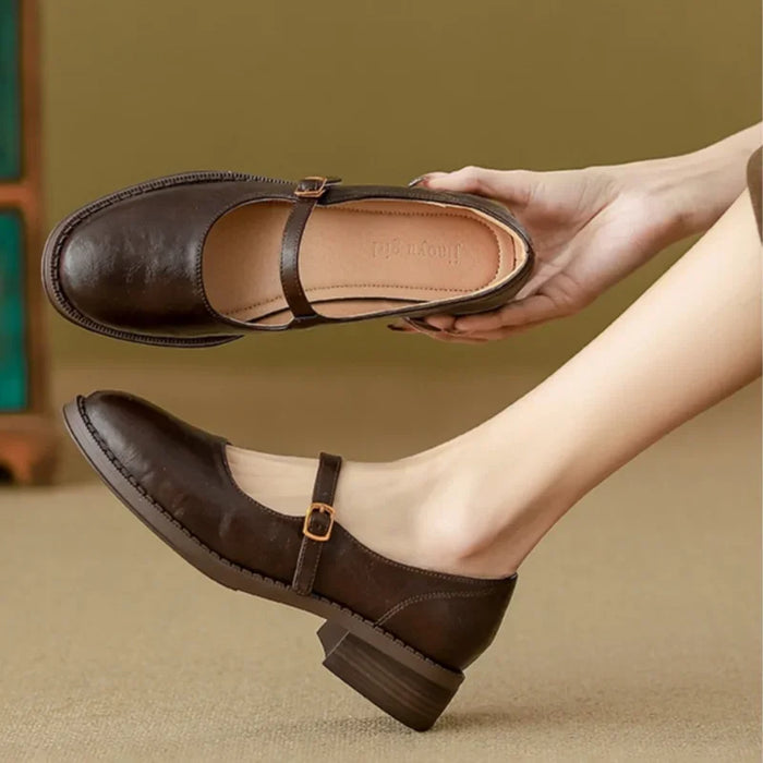 Brown Women's Mary Jane Shoes with Single Strap & Low Block Heel — Diana - Side Profile Hand Hold