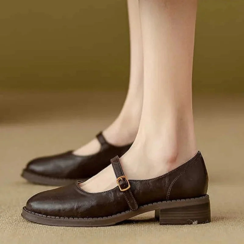 Brown Women's Mary Jane Shoes with Single Strap & Low Block Heel — Diana - Side Worn Closeup