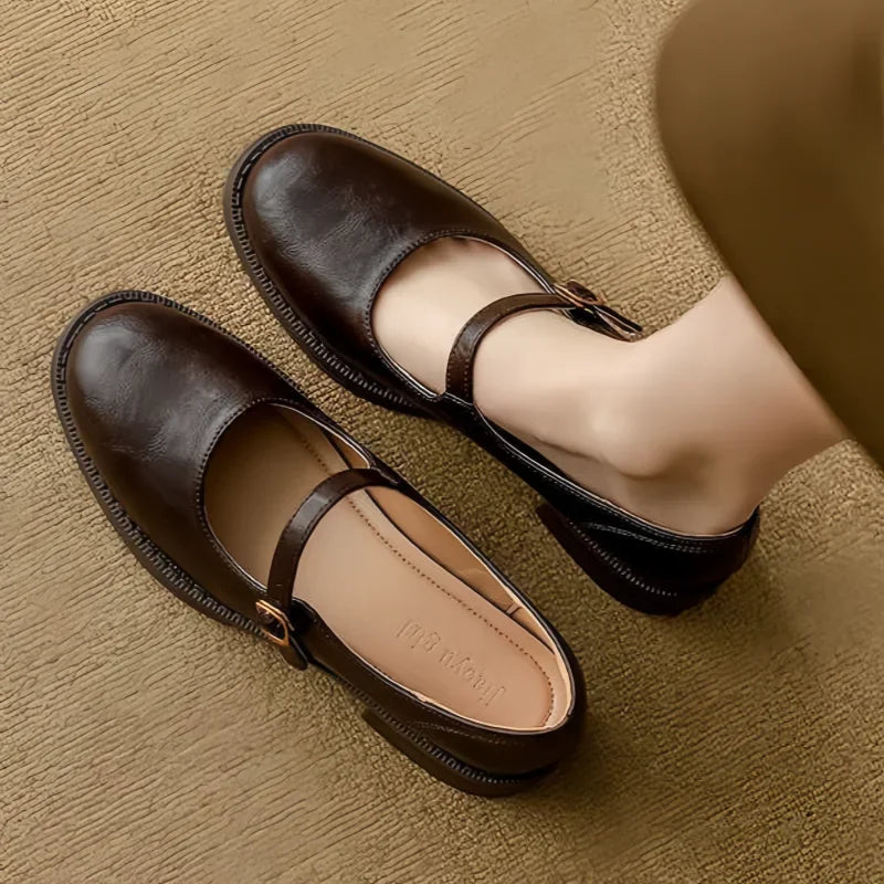 Brown Women's Mary Jane Shoes with Single Strap & Low Block Heel — Diana - Top Down Worn Pair